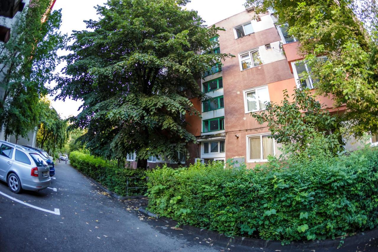 Apartament Family Rivulus 10 Baia Mare Exterior photo